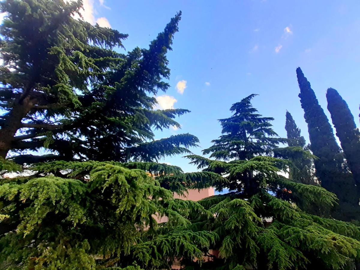 Villa Libe Baška Voda Kültér fotó