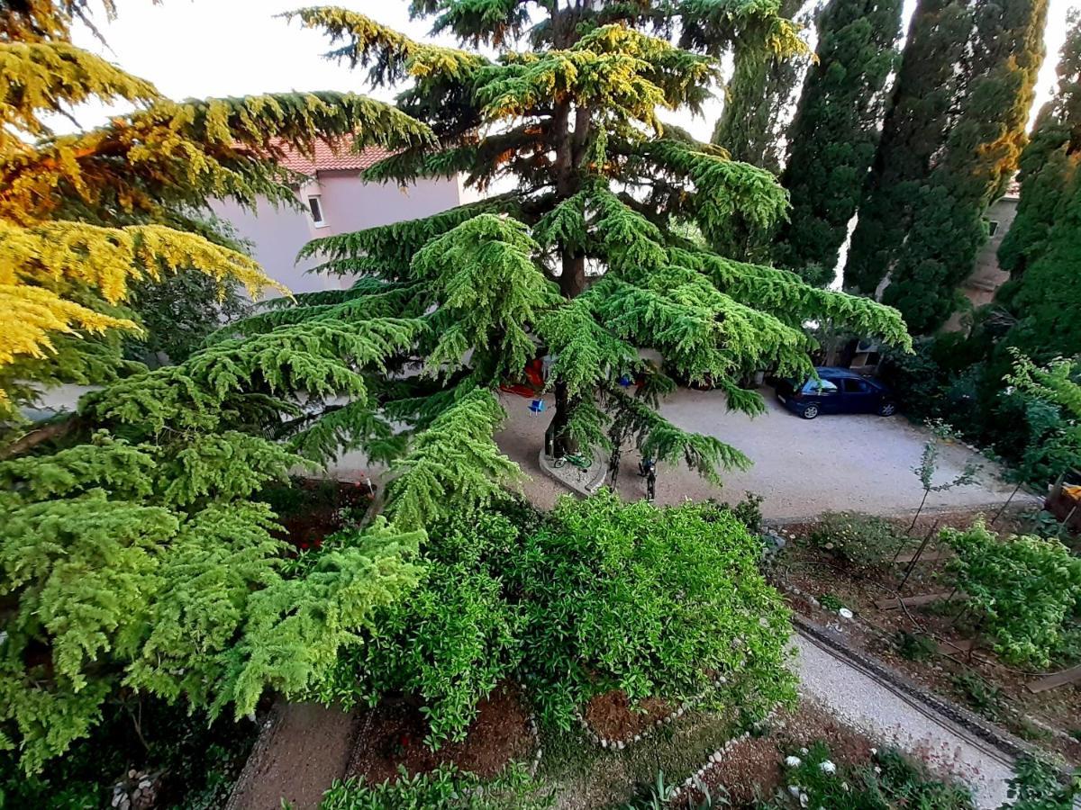 Villa Libe Baška Voda Kültér fotó