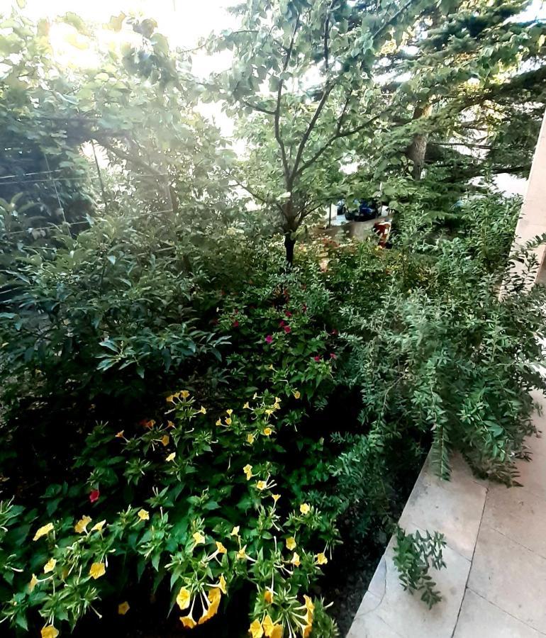 Villa Libe Baška Voda Kültér fotó