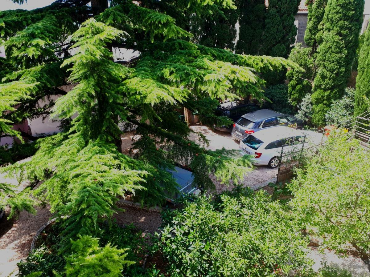 Villa Libe Baška Voda Kültér fotó